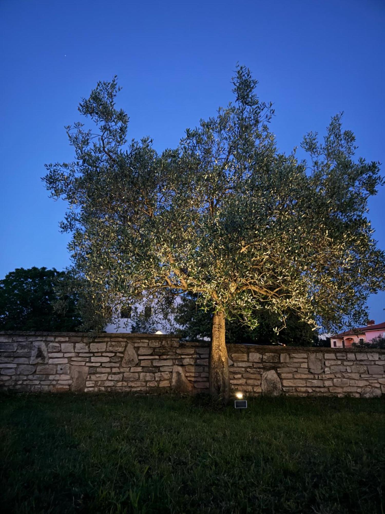 Apartman Ostrea *** Bale Buitenkant foto